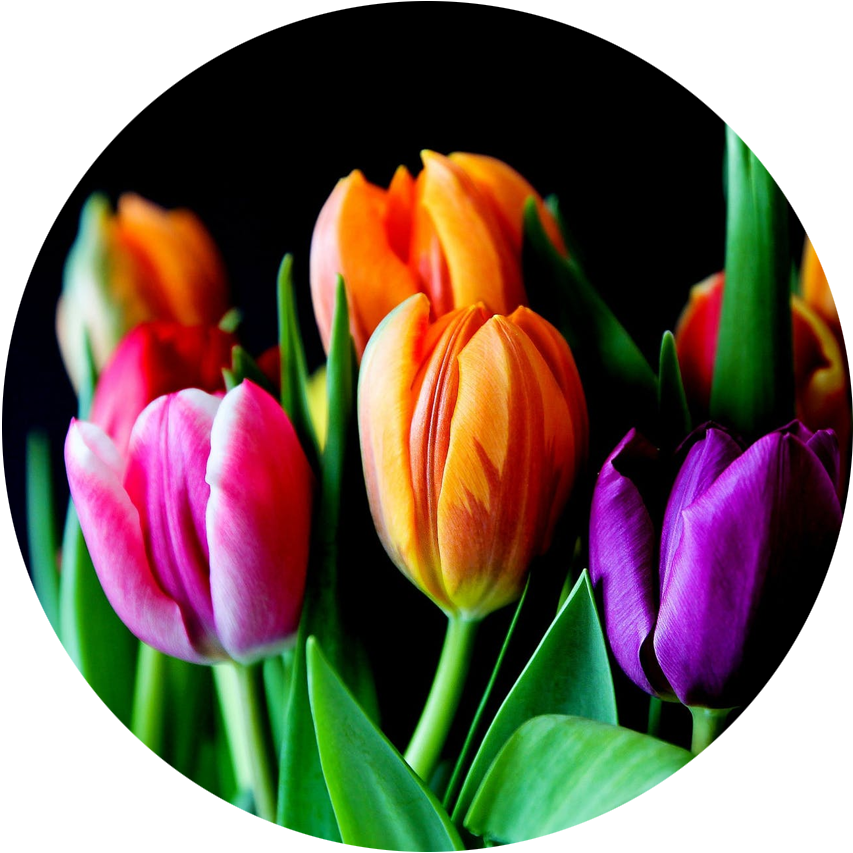Seasonal Floral Arrangements - Spring
